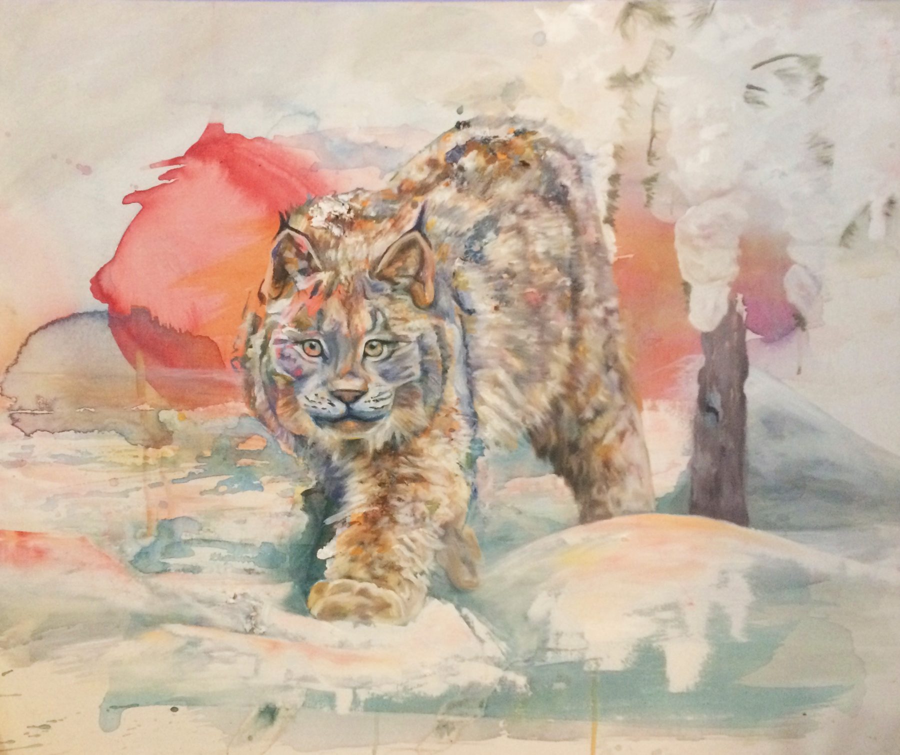 Lynx